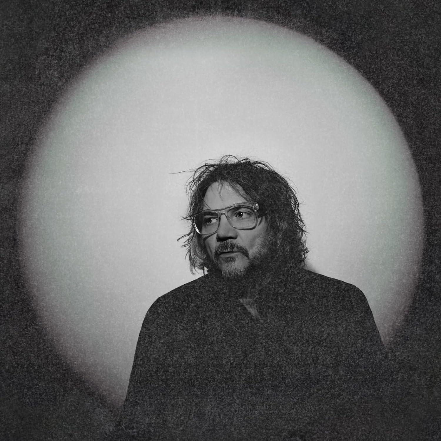 Jeff Tweedy - Twilight Override
